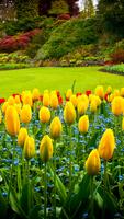 Garden wallpaper plakat