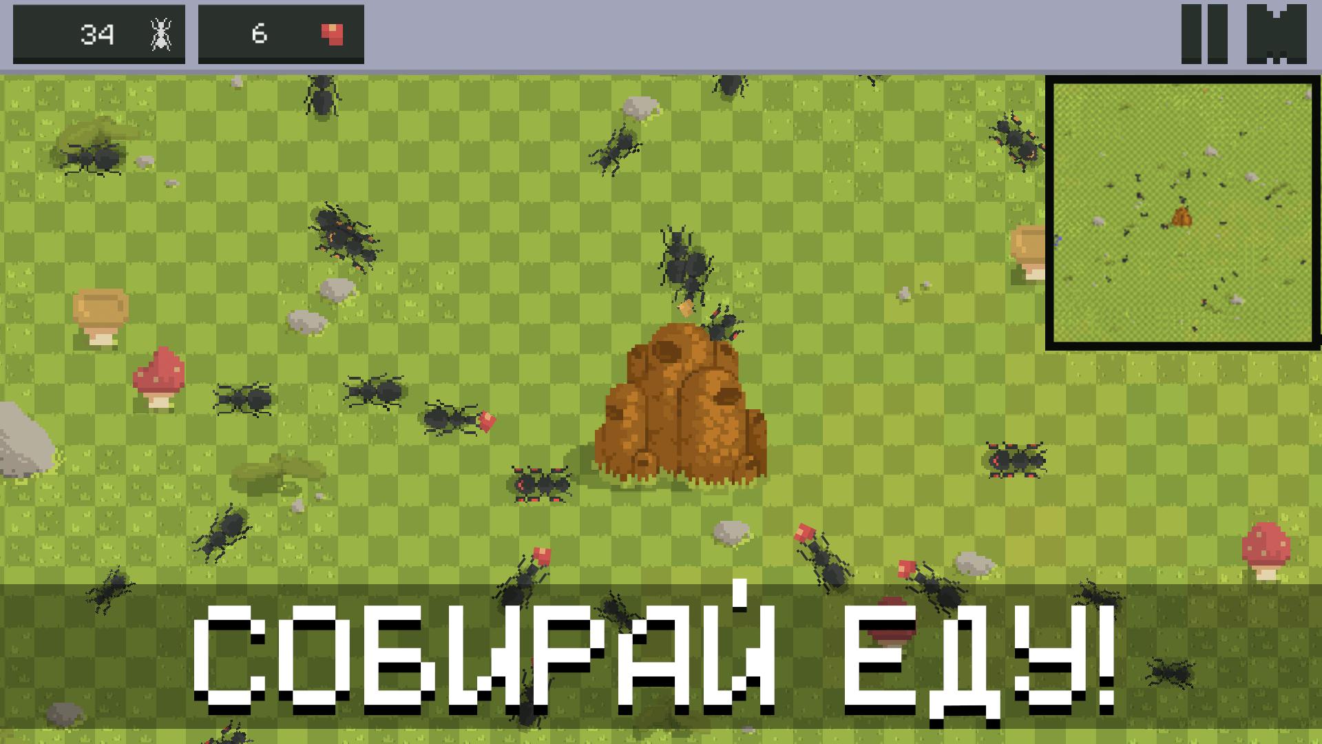 Игра симулятор муравья. Колония муравьев игра. Игры на 1 Муравейник Ant Colony. Симулятор колония муравьи игра. Муравьиная Империя игра.