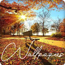 Autumn Wallpaper Images HD APK