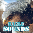 Eagle Sounds Ringtone Collection APK