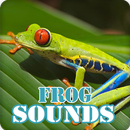 Frog Sounds Ringtone Collection APK