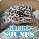 Gecko Sounds Ringtone Collection APK
