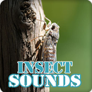 Insect Sounds Ringtone Collection APK