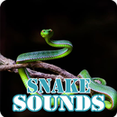 Snake Sounds Ringtone Collection APK