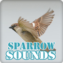 Sparrow Bird Sounds Collection APK
