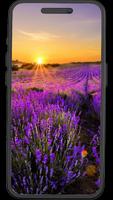 2 Schermata Natureza Wallpapers