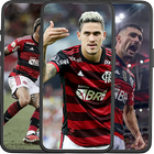Flamengo Wallpapers আইকন