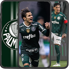 Palmeiras Wallpapers আইকন