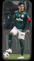 Palmeiras Wallpapers স্ক্রিনশট 1
