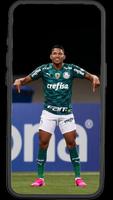 Palmeiras Wallpapers স্ক্রিনশট 2
