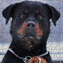 Quebra-Cabeças Rottweiler APK
