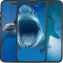 Tubarão Wallpapers APK
