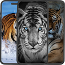 Tigres Wallpapers APK