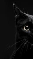 Wallpapers Gatos Fofos bài đăng