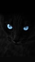 Wallpapers Gatos Fofos ảnh chụp màn hình 1