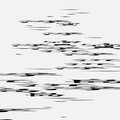 Island Invisible