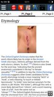 Clitoris : Educational App Ekran Görüntüsü 2