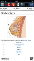 Breast health and development Ekran Görüntüsü 2