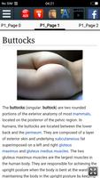 Buttocks : Educational App ảnh chụp màn hình 1
