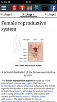 برنامه‌نما Female reproductive system عکس از صفحه