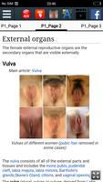 Female reproductive system Screenshot 2