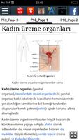 Kadın üreme organları Ekran Görüntüsü 1