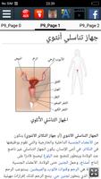 جهاز تناسلي أنثوي تصوير الشاشة 1