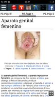 Aparato genital femenino captura de pantalla 1