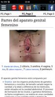 Aparato genital femenino captura de pantalla 2