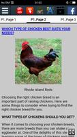 How to Raise Chickens Ekran Görüntüsü 2