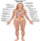 Human body biểu tượng