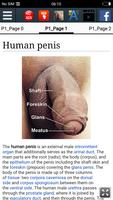 Human Penis : Educational App screenshot 1