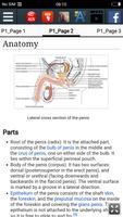 Human Penis : Educational App screenshot 2