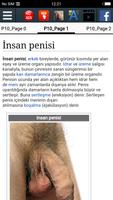 İnsan penisi Ekran Görüntüsü 1