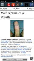 Male reproductive system ảnh chụp màn hình 1