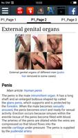 Male reproductive system ảnh chụp màn hình 2