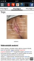 Vajina Ekran Görüntüsü 2
