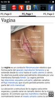 Vagina captura de pantalla 1