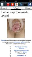 Вагина скриншот 1