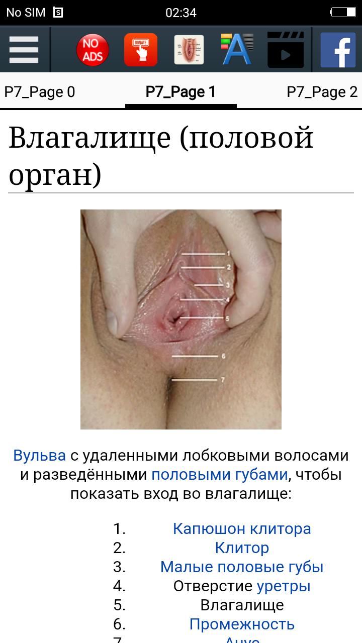 Вагина Скачать Вагина APK для Android