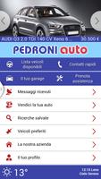 Pedroni Auto Affiche