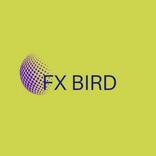 FX BIRD