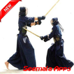 Learn the best Kendo Engineering