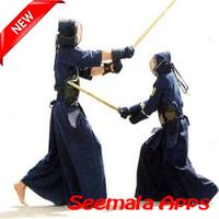 Learn the best Kendo Engineering Affiche