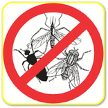 How to Get Rid of Insects