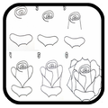 how to draw roses step by step