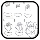 comment dessiner des roses étape par étape APK