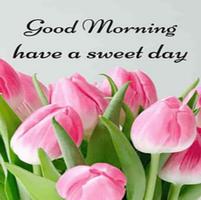 Good Morning Flowers GIF With Messages capture d'écran 3