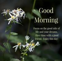 Good Morning Flowers GIF With Messages capture d'écran 2