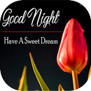 Good Night Messages With Pictures GIF APK